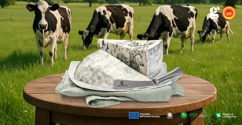 MEJERITURISM: EN NY TREND ATT UPPTÄCKA